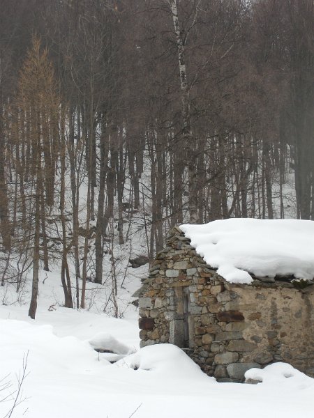 fine febbraio 2011 056.jpg